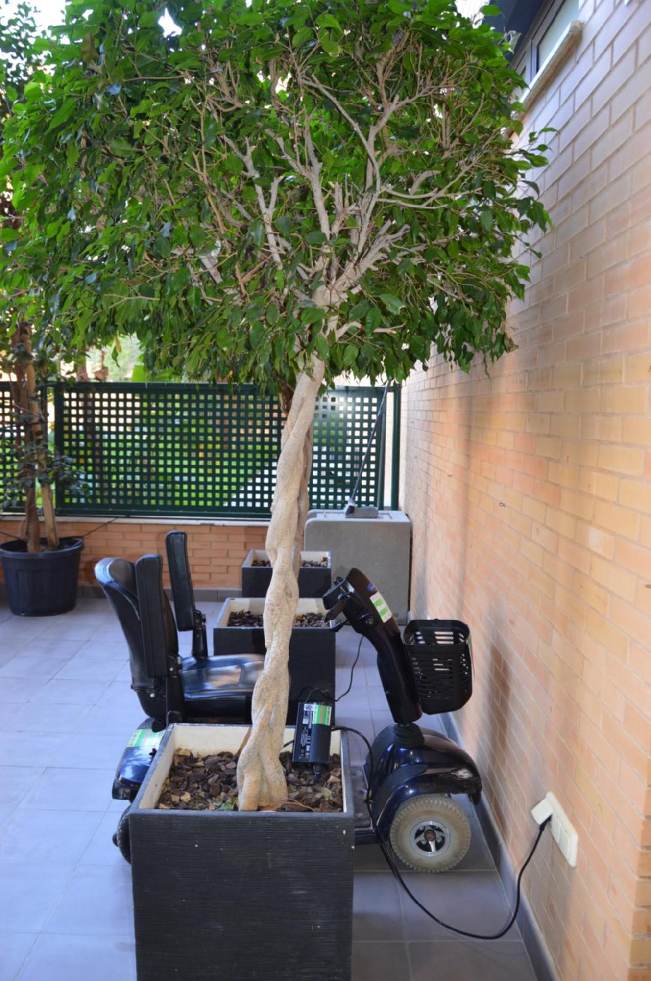 Apartament Albir El Albir